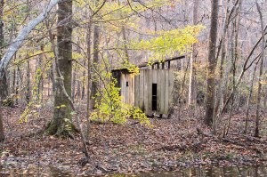 This curious little wooden structure at Logoly State Park was on the far side of an impassable swamp.